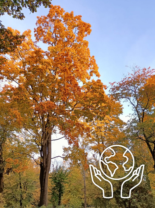 Nasza wizja opiera się o trwałe wartości